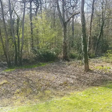 Forest Paradise, Very Large Lounge, Only 15 Min To Paris! *